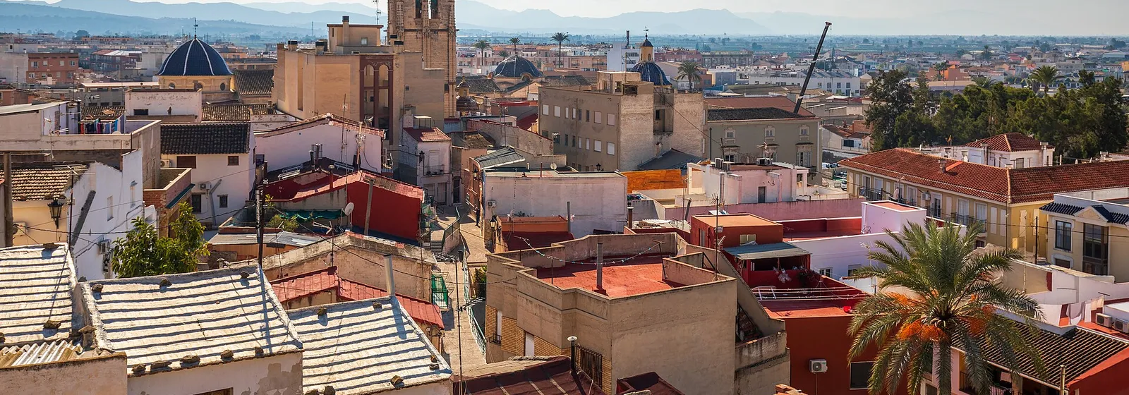 Orihuela old town: cathedral tower, domes, a palm and the sierra behind